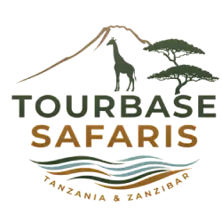 Tourbasafari